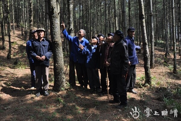 陆良八老:功在当代利在千秋