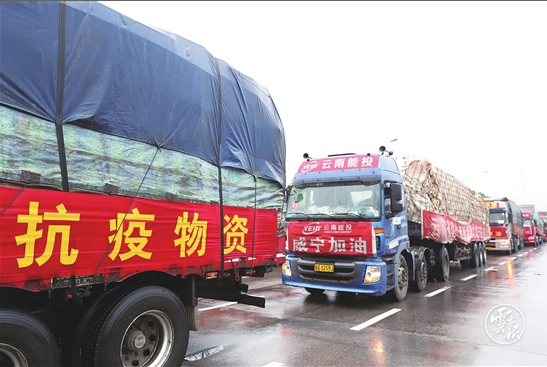 云南有机蔬菜种植基地_云南33吨蔬菜援上海_上海车模李雅援的资料
