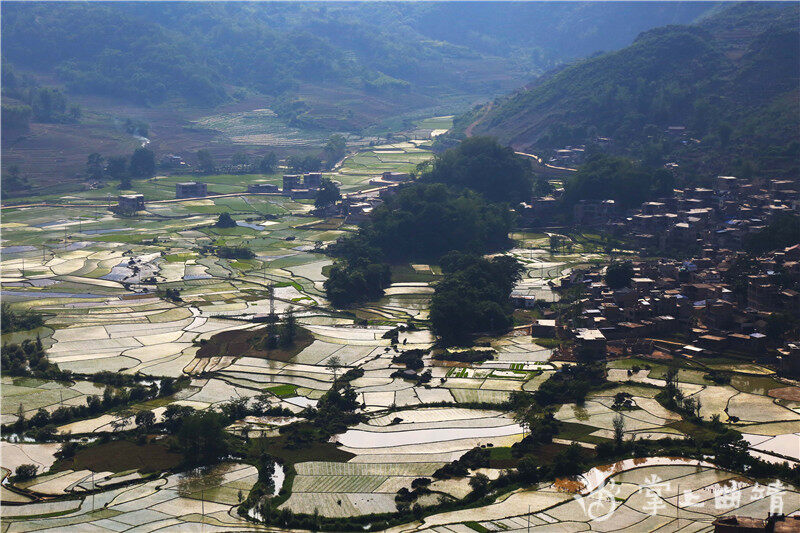 连日来,在师宗县龙庆乡黑尔村的田间地头,壮族同胞正抢抓当前晴好天气