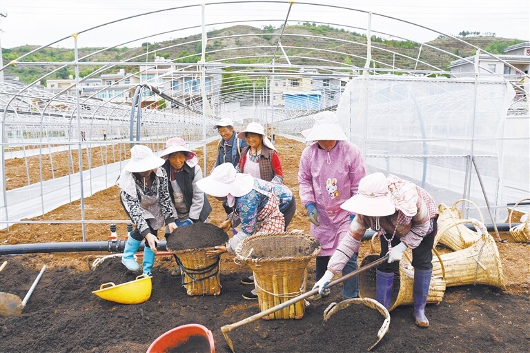 混拌肥料。赵雄飞 摄
