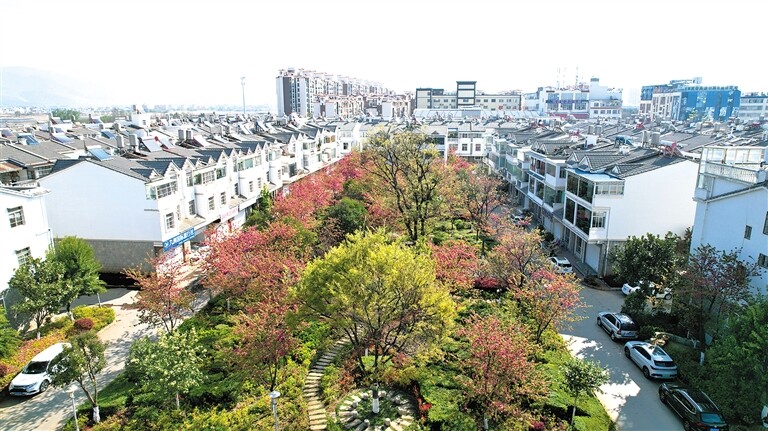 居民小区。
