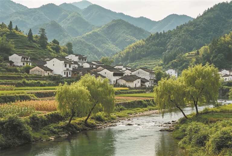图片由AI生成 图片由AI生成