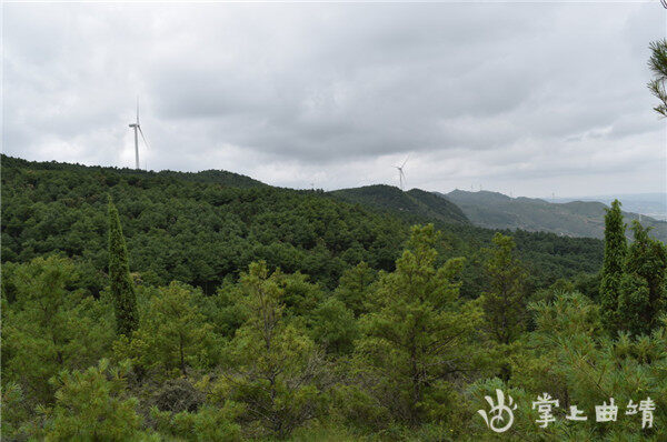 文筆森林公園選址於文筆鎮山,位於縣城