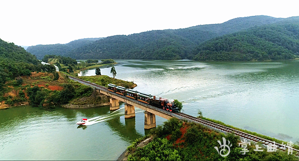 【"创森"栏目】绿韵马龙 四季花海——聚焦森林城市创建工作的"曲靖