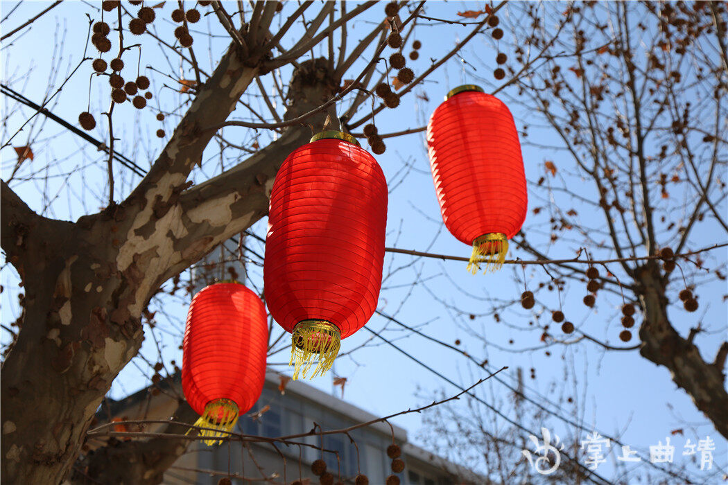 会泽:灯笼"闹"春,满城红!