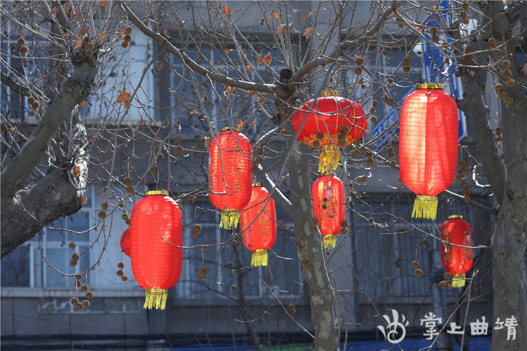 会泽:灯笼"闹"春,满城红!