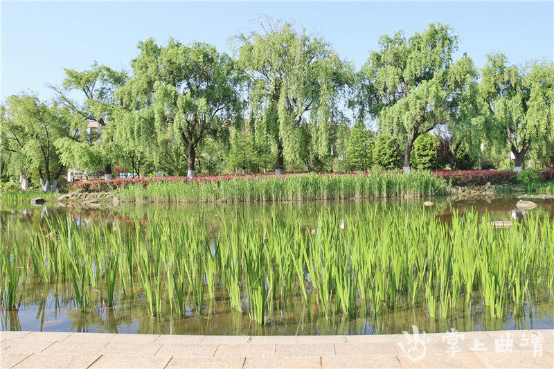 马龙:大美水景公园