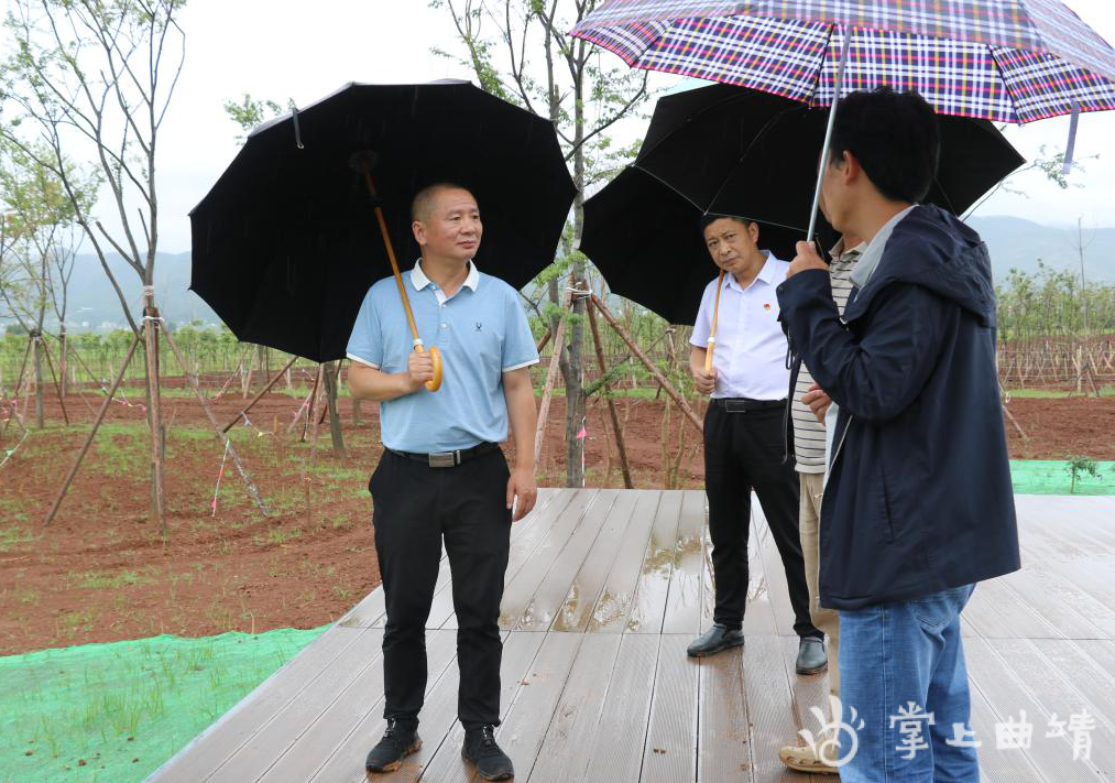 曲靖市生态环境局领导到会泽县者海镇挂包村调研指导
