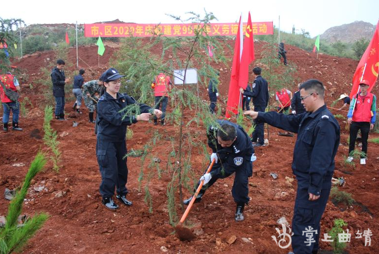 战友在高连会守护过的林区植树.
