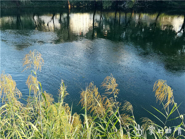 共饮一江水 同过一条河——《今日牛栏江》之十二