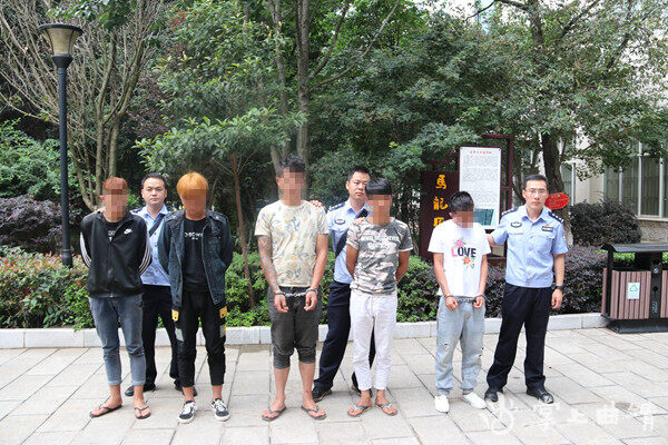 马龙警方成功破获系列盗窃电瓶案