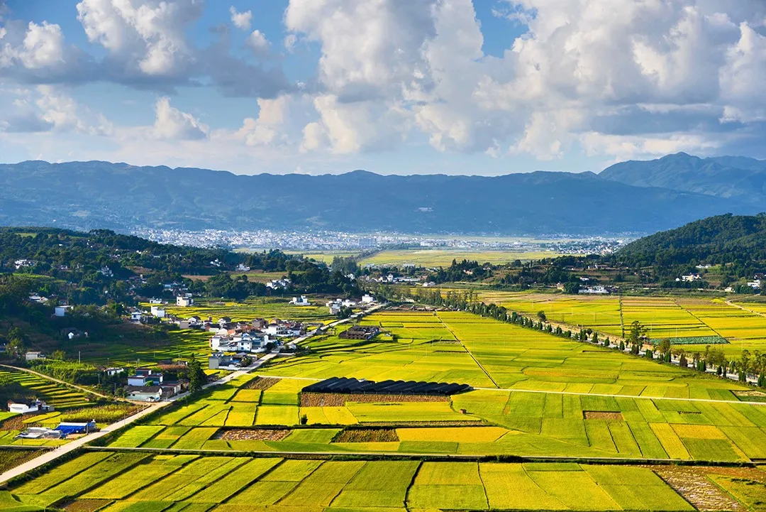 今日白露 | 露从今夜白,月是故乡明