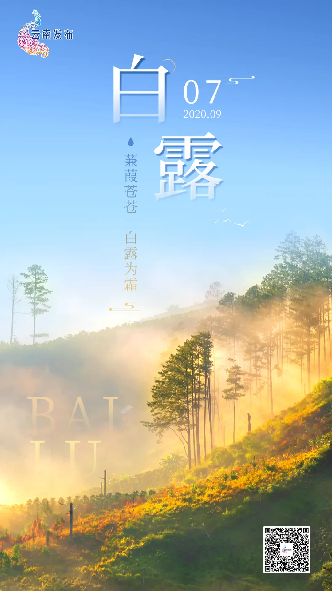 白露为霜 所谓伊人,在水一方 《中国天文年历》显示 北京时间9月7日12