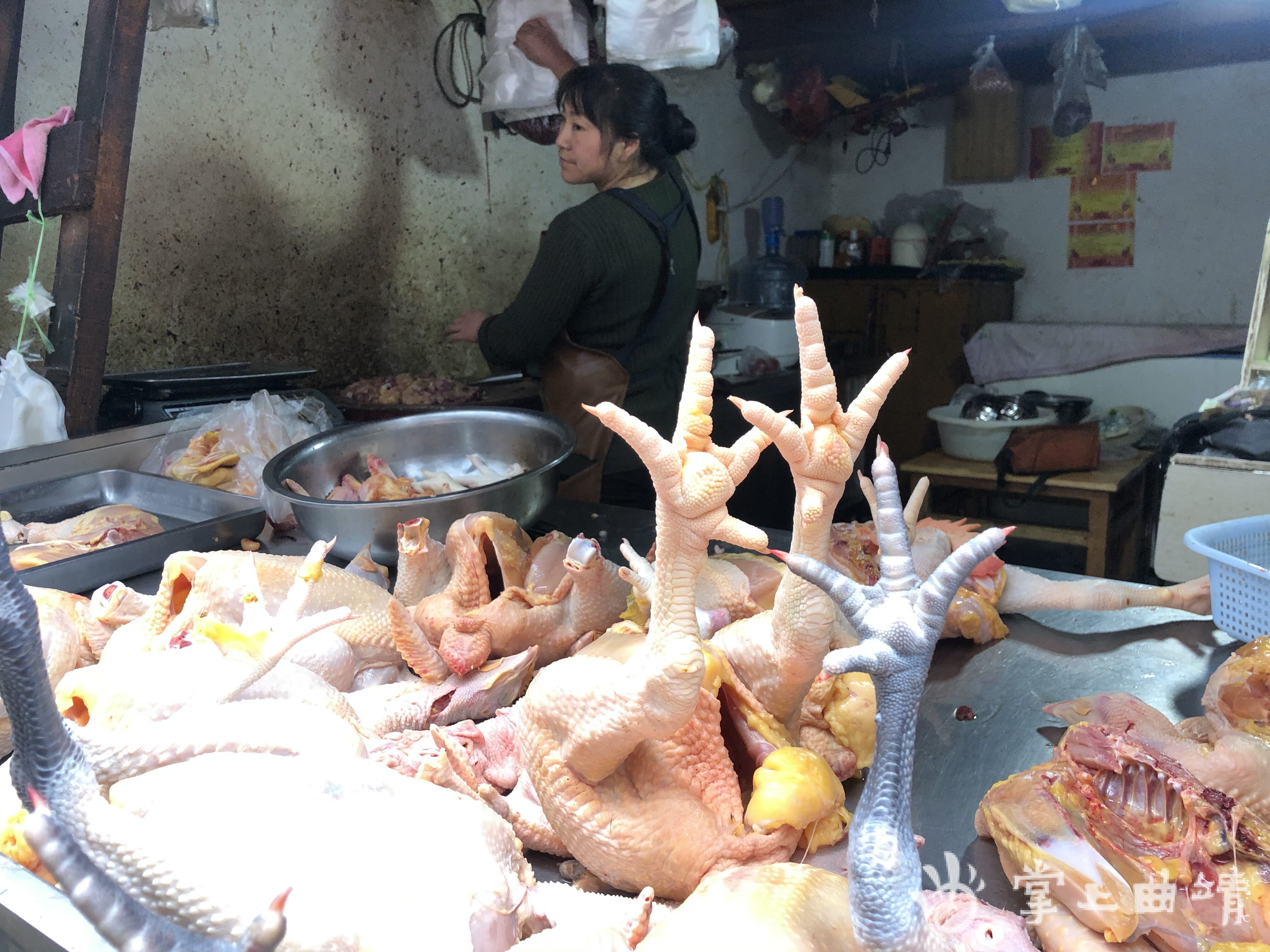 记者在采访中发现,对云南省出台的活禽类集中交易