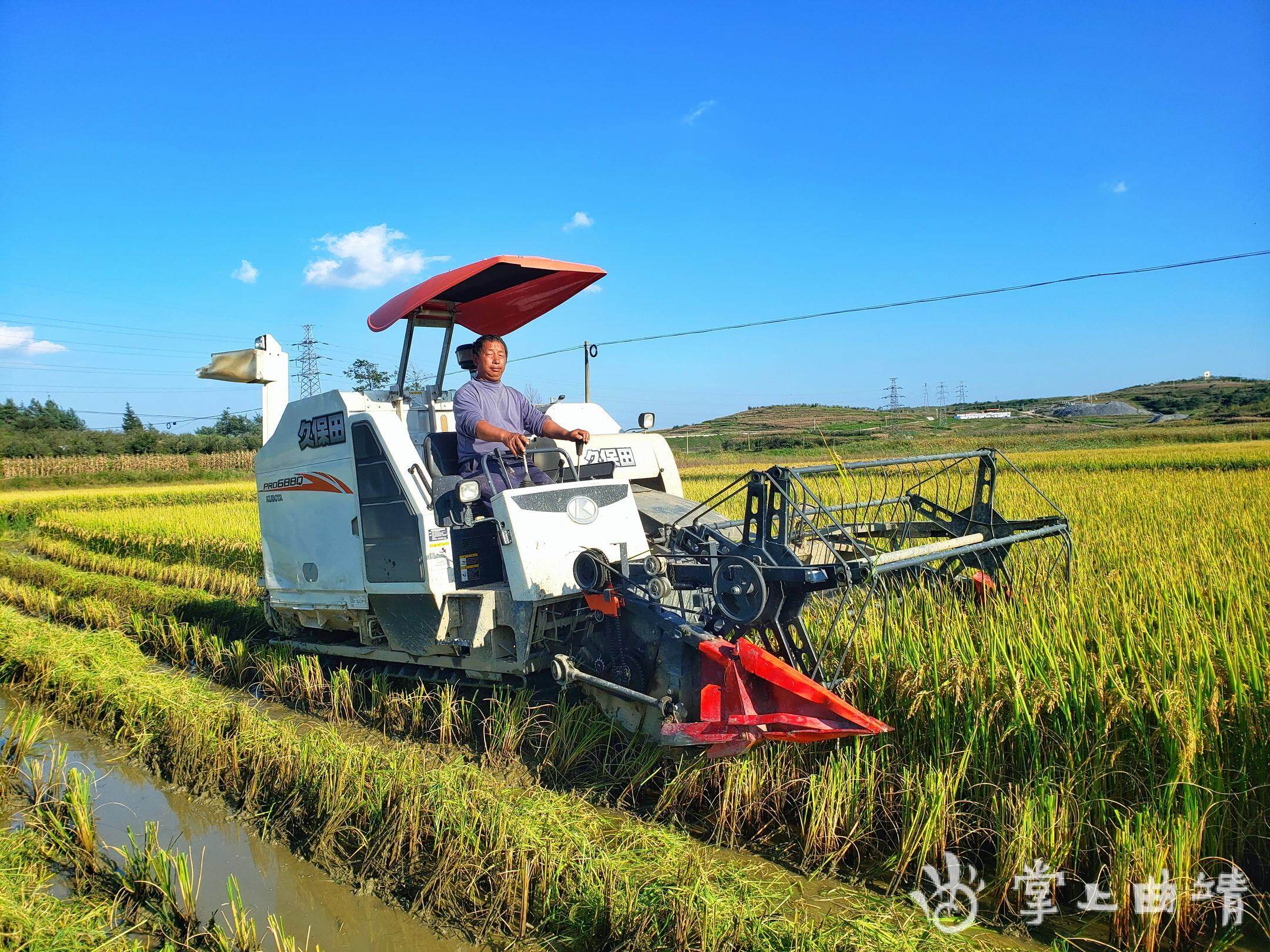 马龙:水稻丰收 机械收割忙