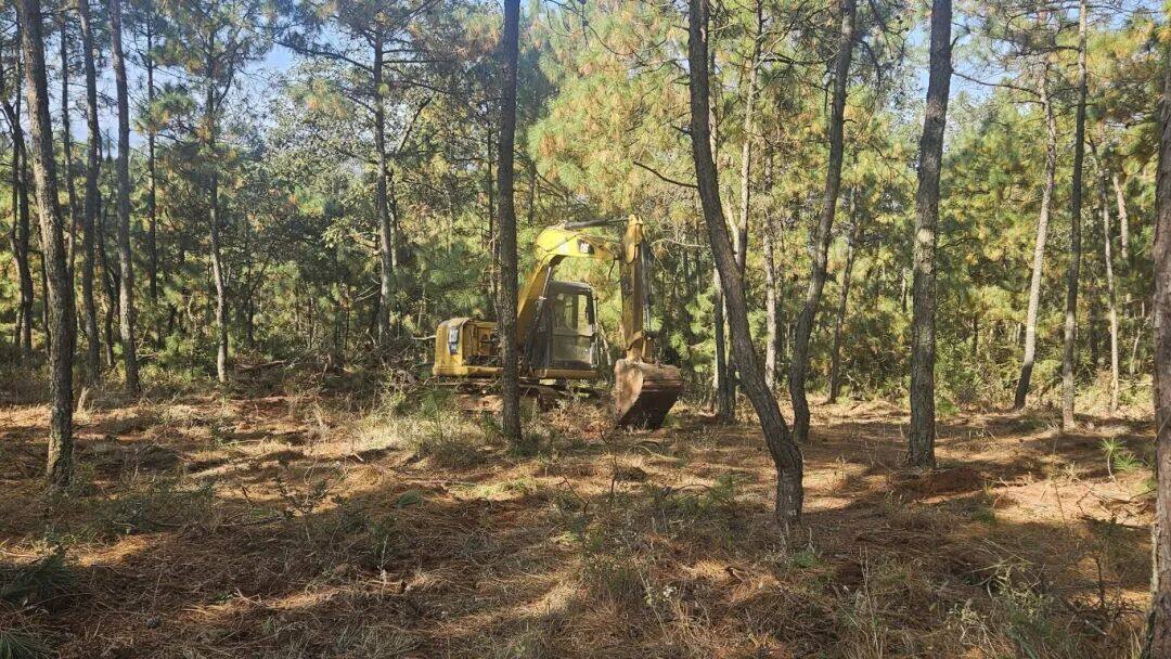 上坪村挖掘机正在平整林地准备种植天麻.jpg