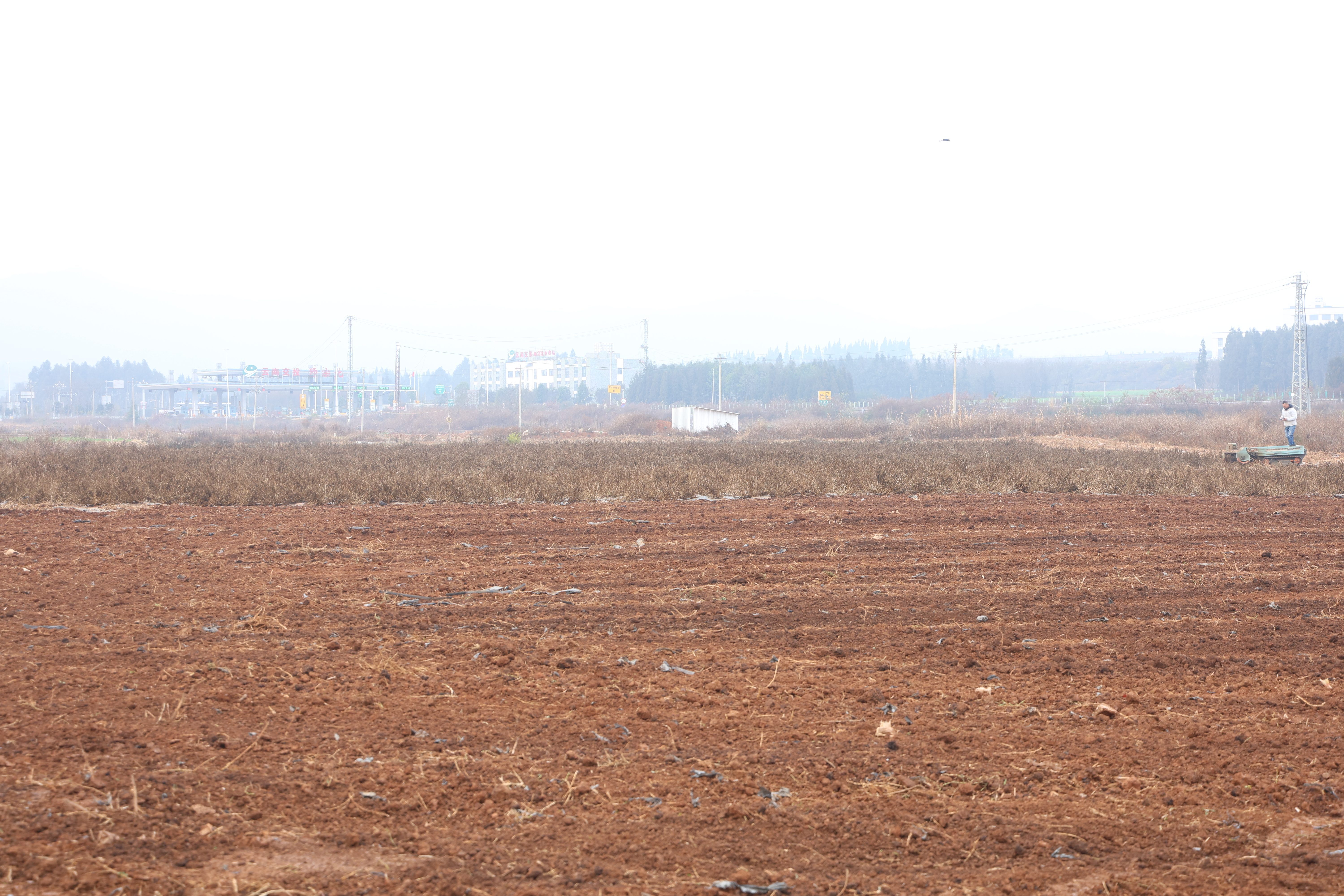 地膜回收后的田野。范梅 攝