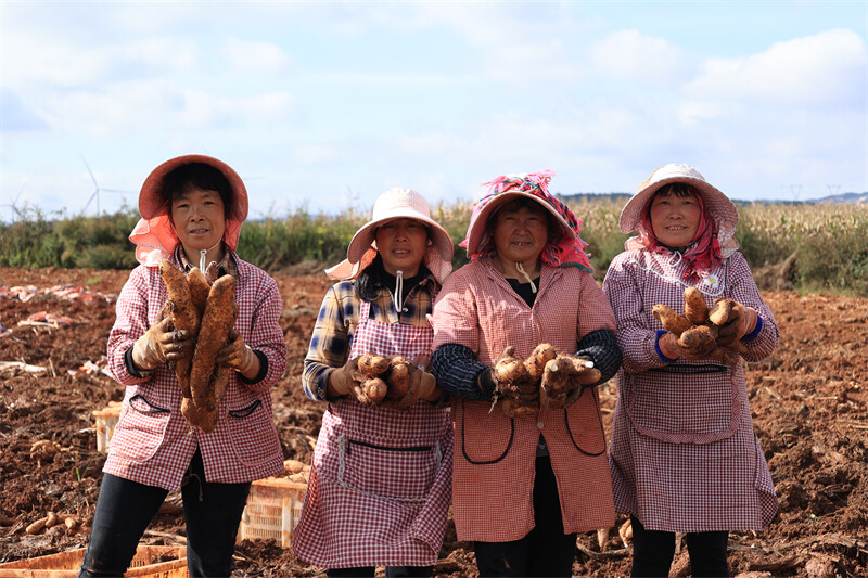 图为蒋所昌摄影作品。