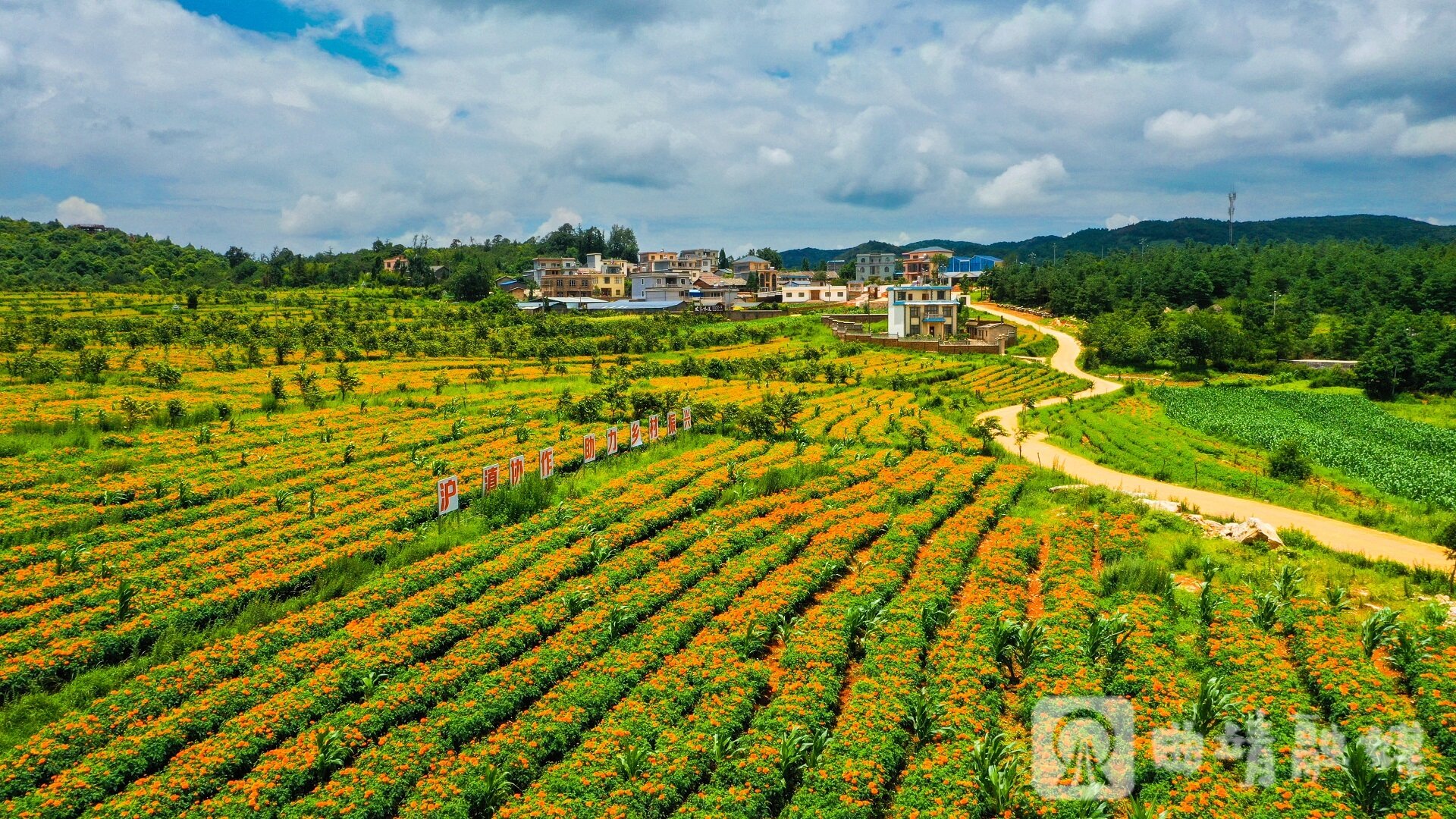 富源县胜境街道发家村。邓成斌 摄