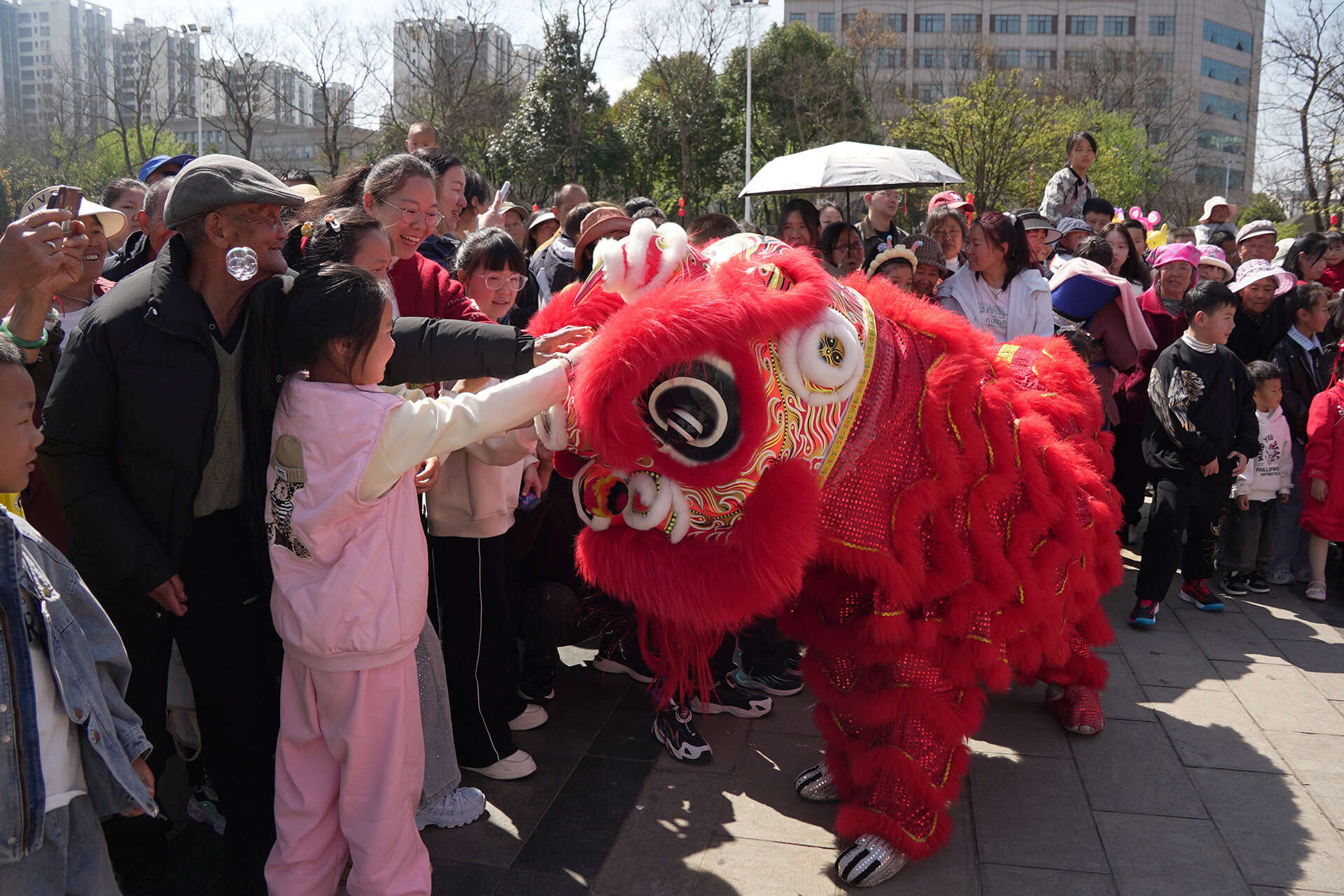 祥瑞与群众亲密互动。周艳红 2026年2月17日摄