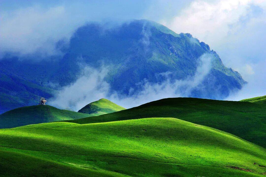 会泽大海草山 (5).jpg