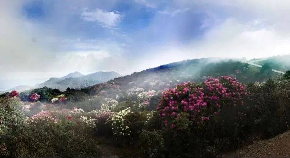 640 - 2026-02-21T123149.460.jpg