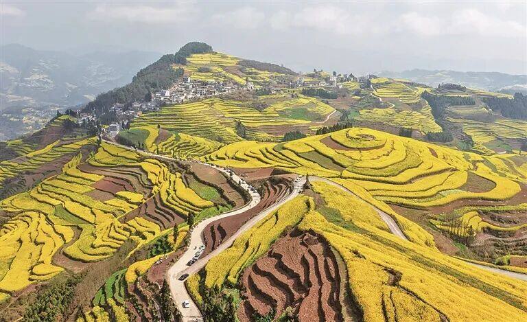 春日画卷 春日画卷