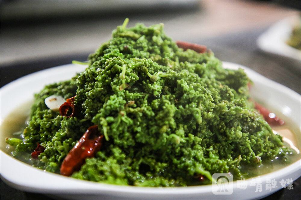 爆炒桑葚花。尹永权 摄