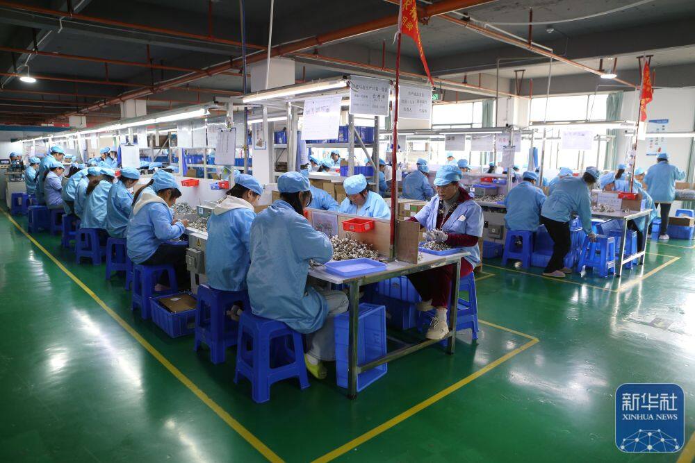 3月25日，工人在以礼街道一家企业生产车间流水线上作业。