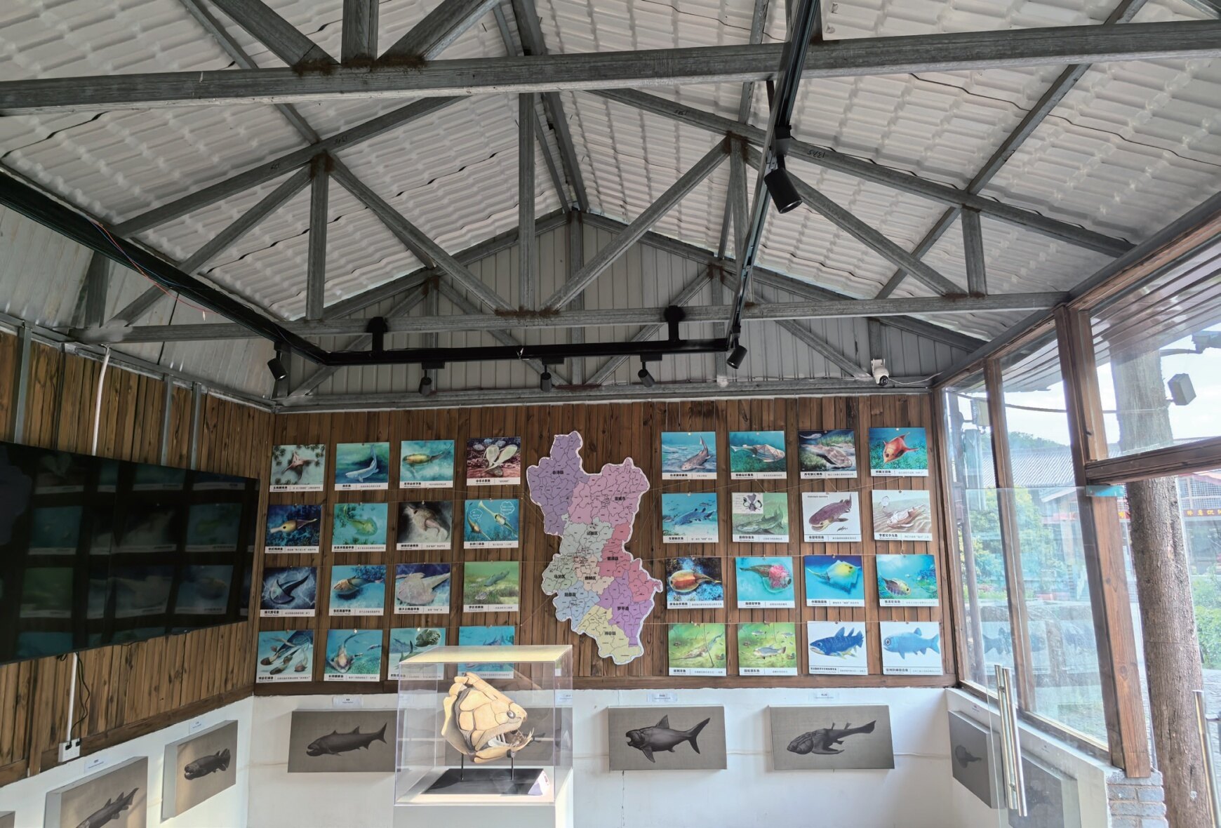 珠江源古鱼化石展厅。