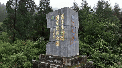 640 (6).gif