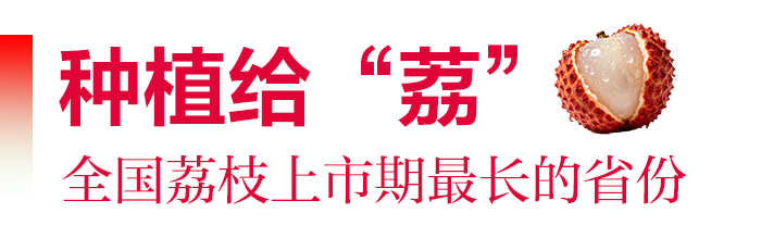 种植给“荔”.png