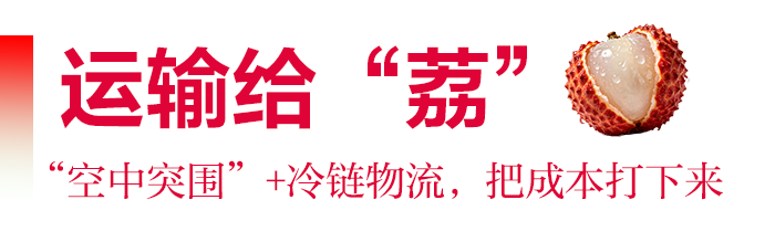 运输给“荔”.png