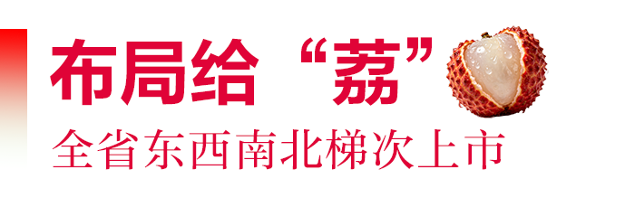 布局给“荔”.png