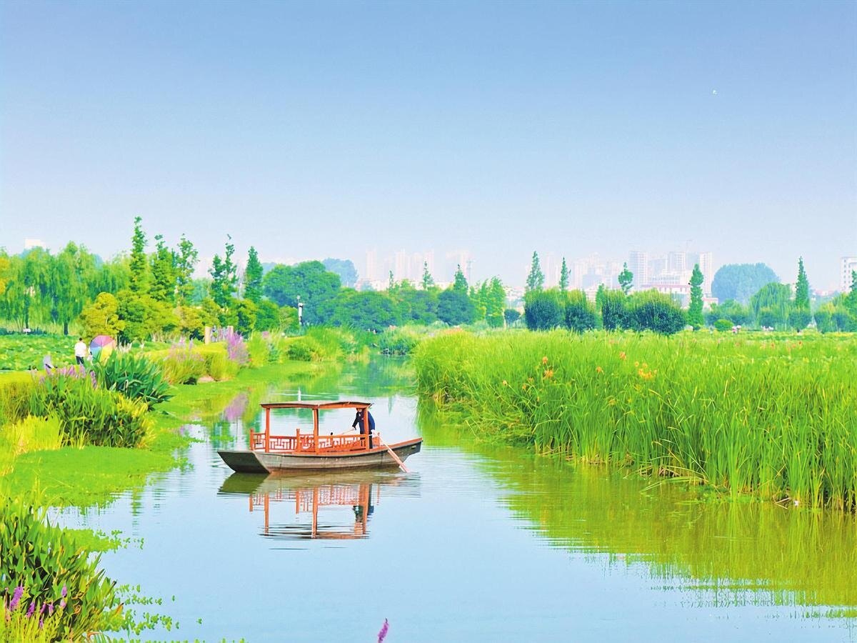 荷开盛夏，香满麒麟水乡