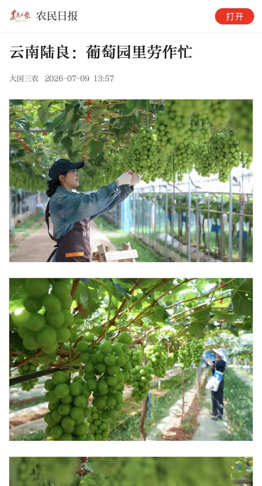 微信图片_20260711134805_33_52.jpg