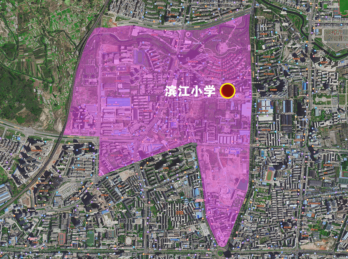 滨江小学.jpg